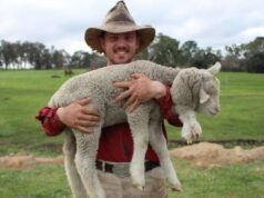 Un cordero con cinco patas nació en una granja de Australia