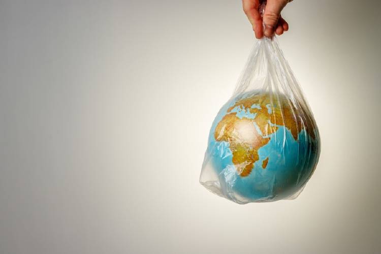 Entre ellos están las bolsas de los supermercados, cubiertos, pajitas o los anillos de plástico que sujetan las latas