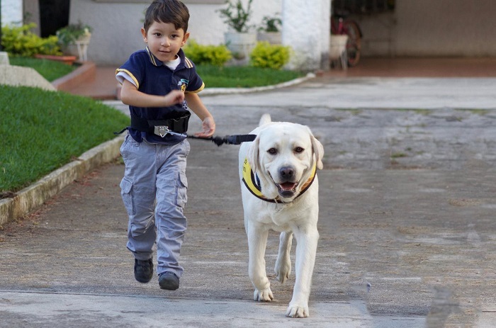 Dicha iniciativa busca concientizar a los más pequeños sobre el maltrato animal