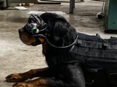 Por estas razones los perros militares de EEUU llevarán gafas