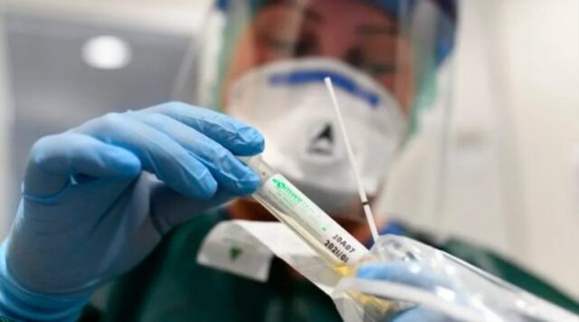 El Sumario - Investigadores hallan posible anticuerpo que neutralizaría por completo el Covid-19