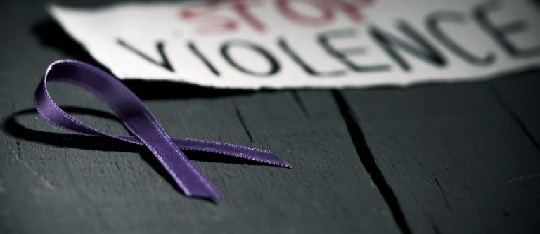 El Sumario - 25 de noviembre: Día Internacional de la Eliminación de la Violencia contra la Mujer