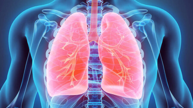 El Sumario - Desarrollan una Terapia que podría Restaurar Hormona en pulmones de pacientes con Covid-19