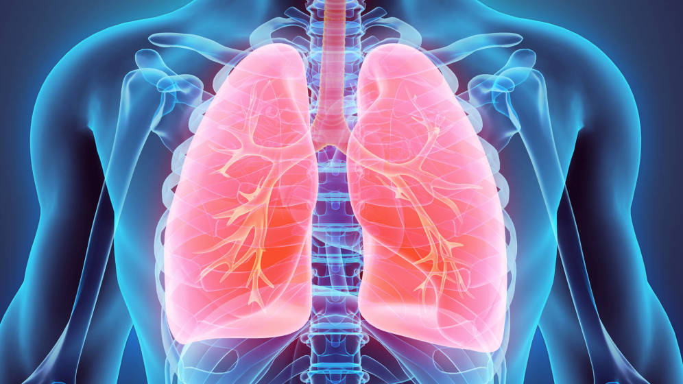 El Sumario - Desarrollan una Terapia que podría Restaurar Hormona en pulmones de pacientes con Covid-19