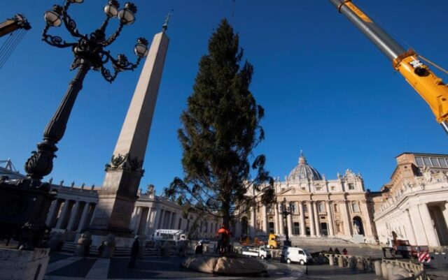 El Sumario - Inician los Preparativos Navideños en el Vaticano