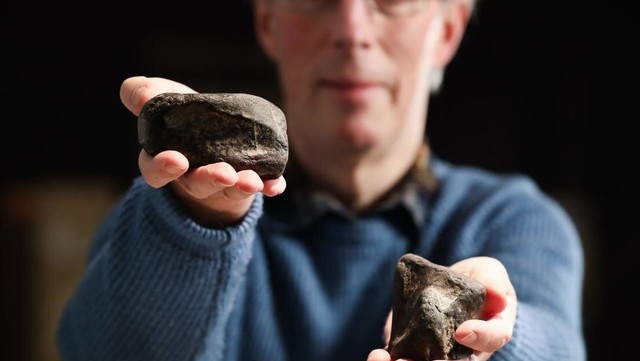 El Sumario - Irlanda: Los dos únicos huesos de dinosaurios hallados no son de la misma especie