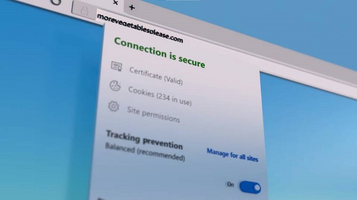 El Sumario - Microsoft elimina 12 extensiones de Edge maliciosas