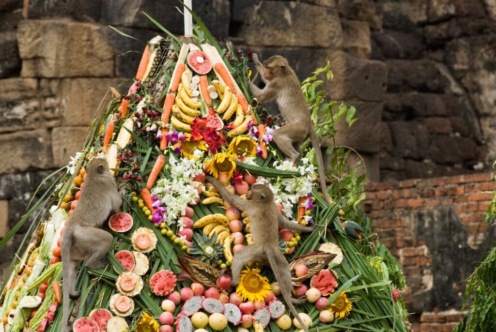 El evento es mejor conocido como el Monkey Buffet Festival y es elogiado cada 29 de noviembre
