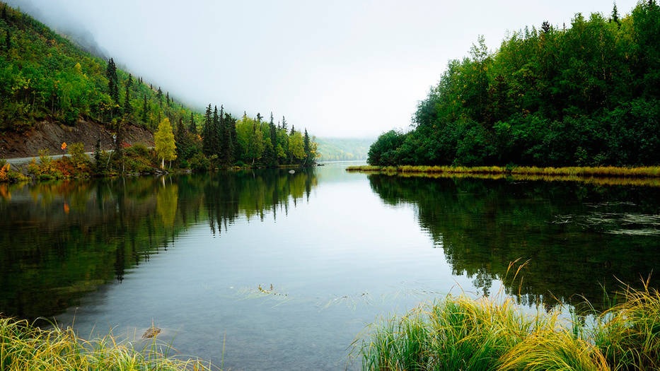 El Sumario - Naciones Unidas pide al Mundo el “rescate” de la Naturaleza