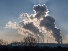 El Sumario - Pandemia del Covid-19 generará caída de un 7% en las emisiones de CO2