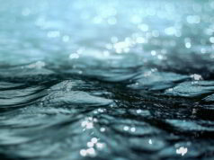 Cuenca: a través del agua se mueve la energía en nuestro cuerpo (2)