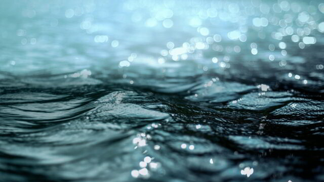 Cuenca: a través del agua se mueve la energía en nuestro cuerpo (2)
