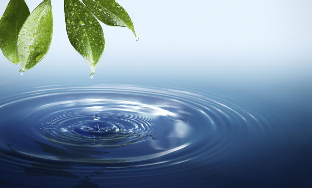 Luis Alberto Cuenca: En el agua está la energía de la vida (1)