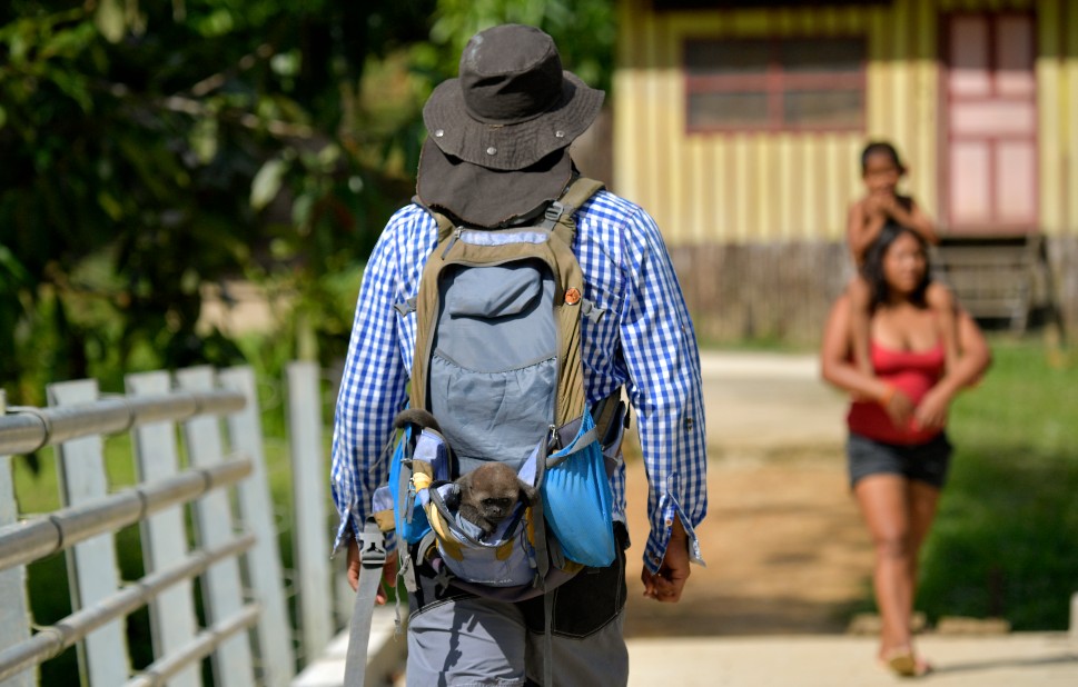 El Sumario - Hombre protege a monos huérfanos de la cacería en la selva colombiana