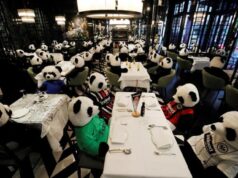 El Sumario - Osos panda de peluche reemplazan a clientes de un restaurante alemán