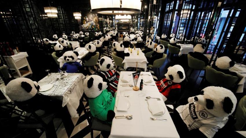 El Sumario - Osos panda de peluche reemplazan a clientes de un restaurante alemán