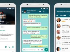 El Sumario - Así Whatsapp Business facilita la experiencia de compra