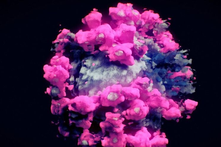 Un grupo de especialistas unen esfuerzos para mostrar las dimensiones reales del virus y que ayude a diferenciar cada parte del mismo
