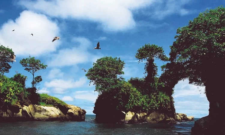 El Sumario - Lanzan una guía turística en Colombia con creativo enfoque ecologista