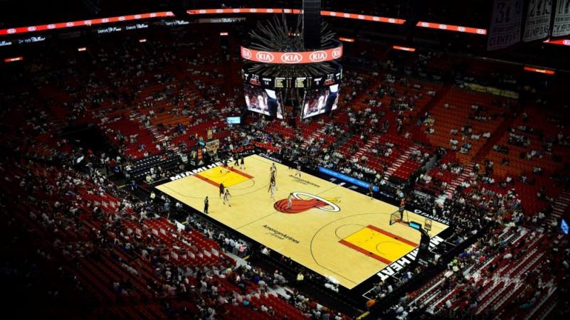 El Sumario - Los Miami Heat utilizarán perros para detectar a enfermos de Covid-19