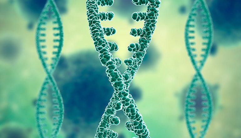 El Sumario – Descubren dos nuevos genes relacionados al Alzheimer