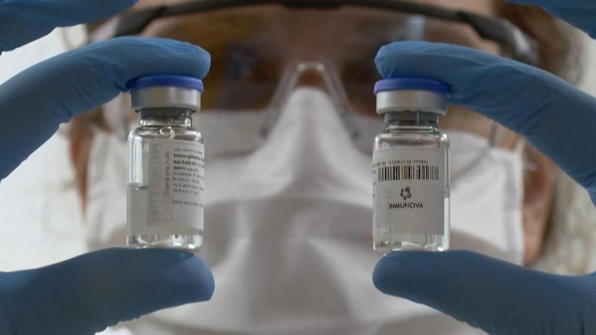 Con plasma de caballos desarrollan suero contra el Covid-19