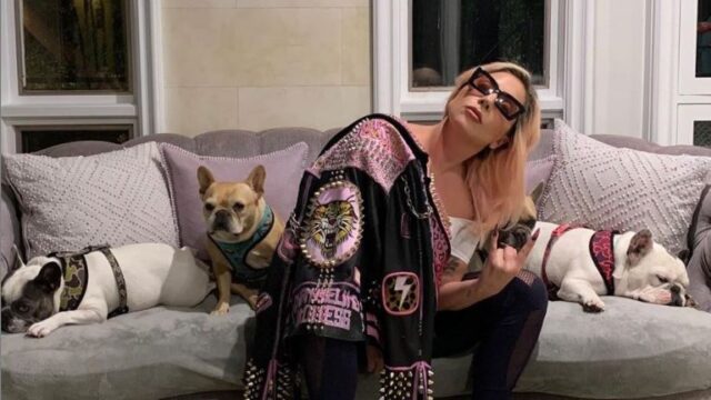 El Sumario - Cinco personas detenidas por el asalto al paseador de perros de Lady Gaga El Sumario - Cinco personas detenidas por el asalto al paseador de perros de Lady Gaga