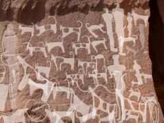 El Sumario - Encuentran evidencia de que hace 6.000 años existieron perros domesticados en Arabia