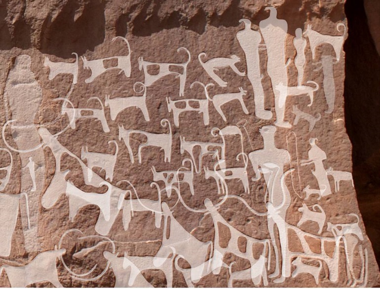 El Sumario - Encuentran evidencia de que hace 6.000 años existieron perros domesticados en Arabia