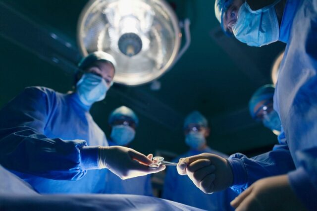 El Sumario - Expertos avanzan hacia una alternativa viable al trasplante de órganos hepáticos