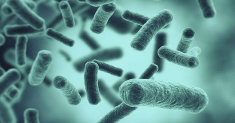 El Sumario - Hallaron nuevas bacterias en la Estación Espacial Internacional