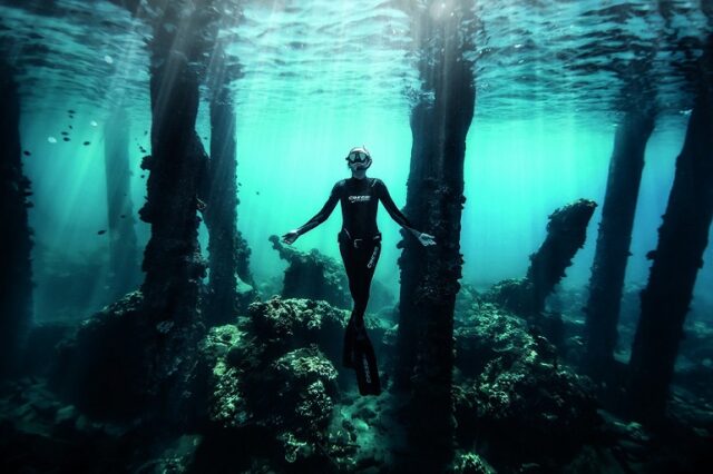El Sumario - Kayleigh Grant promueve la conservación del océano a través de increíbles imágenes