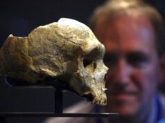 El Sumario - Nuevos descubrimientos en Sudáfrica debaten el lugar de origen del "Homo sapiens"