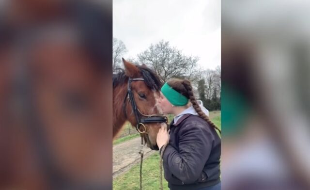 Entrenadora profesional compró un caballo por una libra y consiguió salvarlo