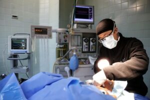 El Sumario - Programa de Procura de Órganos y Trasplantes en Venezuela tiene 4 años suspendido
