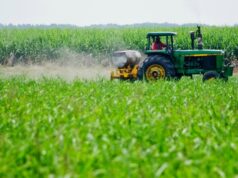 El Sumario - Sanciones afectaron la producción agrícola de Venezuela, según el diputado Octavio Orta