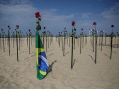 El Sumario - ONG planta rosas rojas en memoria de las víctimas del Covid-19 en Brasil
