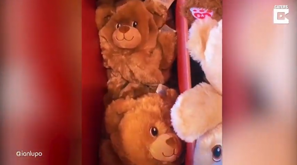 El Sumario - ¡Toma dato! Conoce cuál fue el tierno detalle que realizó un enamorado