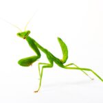 yilber elbittar fotografo venezolano