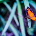 yilber elbittar fotografo venezolano