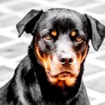 yilber elbittar fotografo venezolano