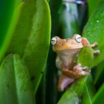 yilber elbittar fotografo venezolano