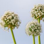 yilber elbittar fotografo venezolano