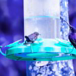 yilber elbittar fotografo venezolano