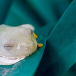 yilber elbittar fotografo venezolano