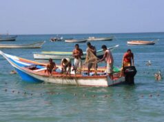 El Sumario - Registran un incremento en la producción y exportación del pescado en Venezuela