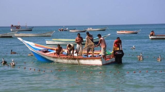 El Sumario - Registran un incremento en la producción y exportación del pescado en Venezuela