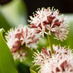 yilber elbittar fotografo venezolano