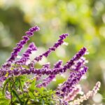 yilber elbittar fotografo venezolano