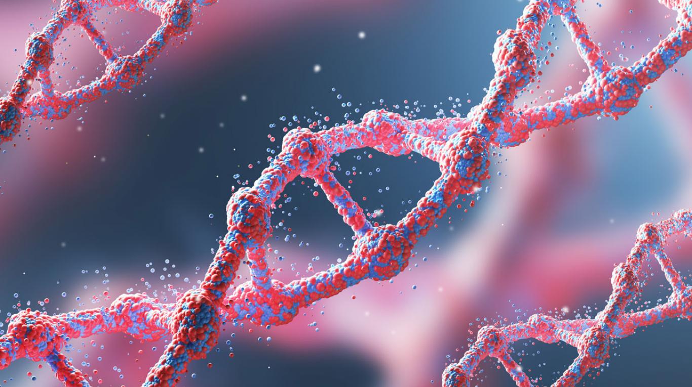 Científicos completan por primera vez el genoma humano